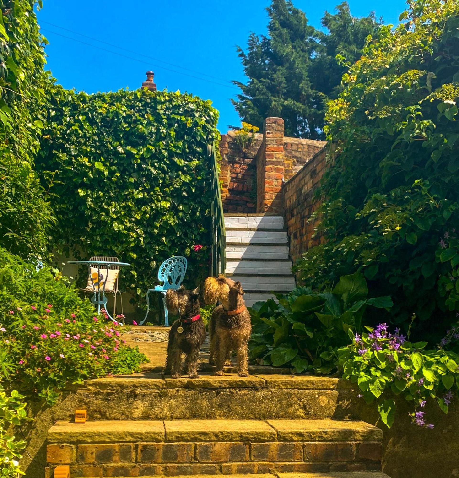 Gowland Cottage, Old Town, Scarborough Eksteriør bilde